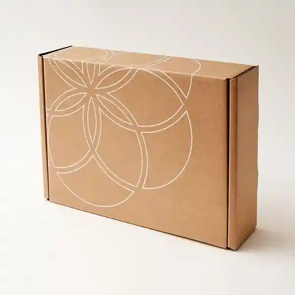 cardboard mailer boxes wholesale