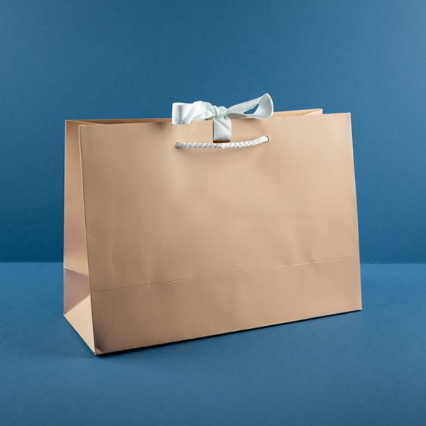 carry out bags packaging