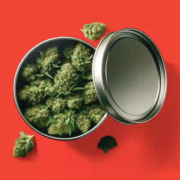 Custom Cannabis Tin Containers