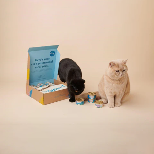 custom cat food boxes