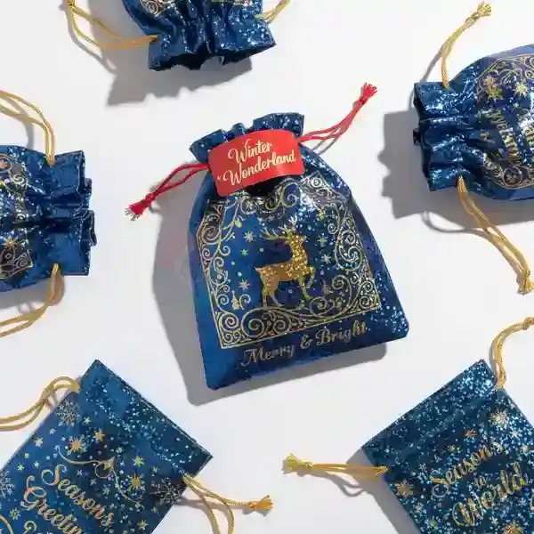 Custom Christmas Mini Treat Bags