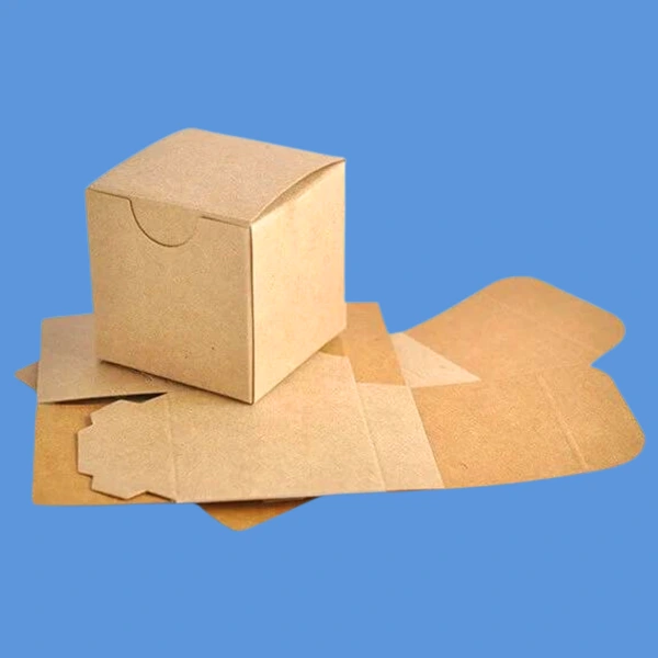 Custom Kraft Paperboard Boxes