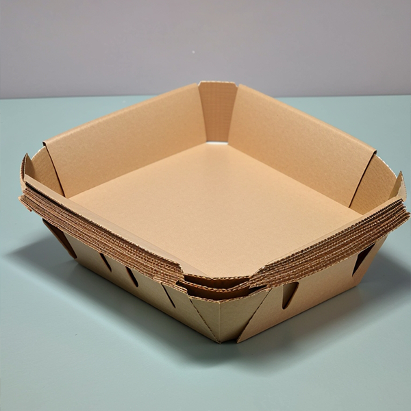 custom paper food trays