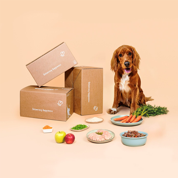 dog food boxes wholesale