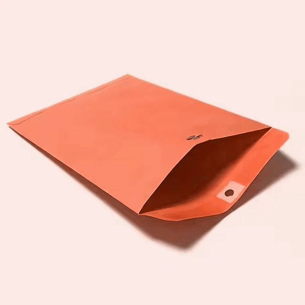 Envelope with Clasp