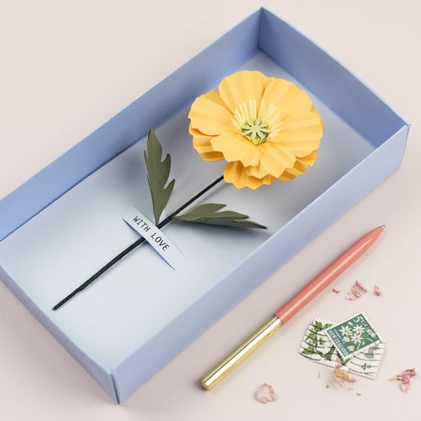 flower boxes packaging
