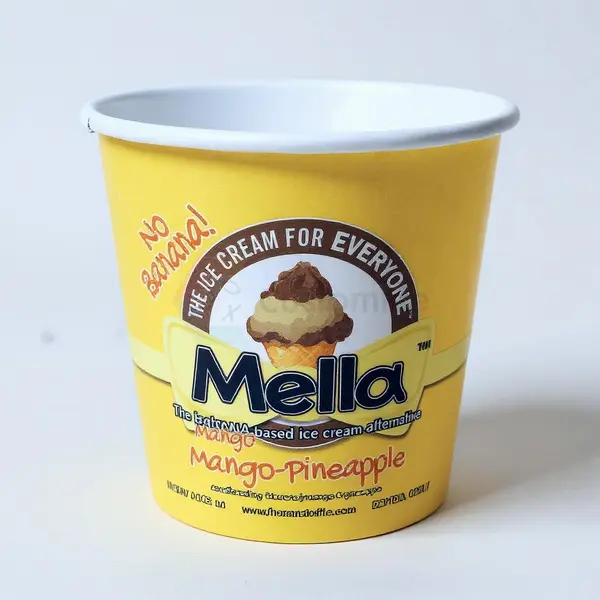 Custom Printed Ice Cream Cups