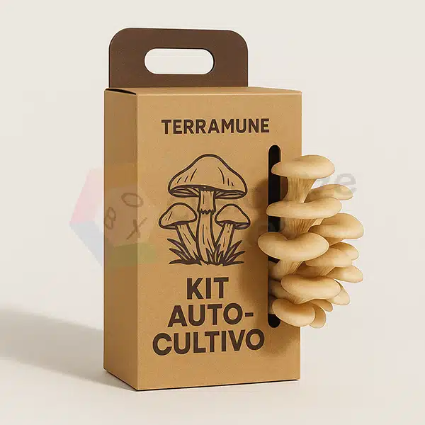 mushroom-packaging-wholesale