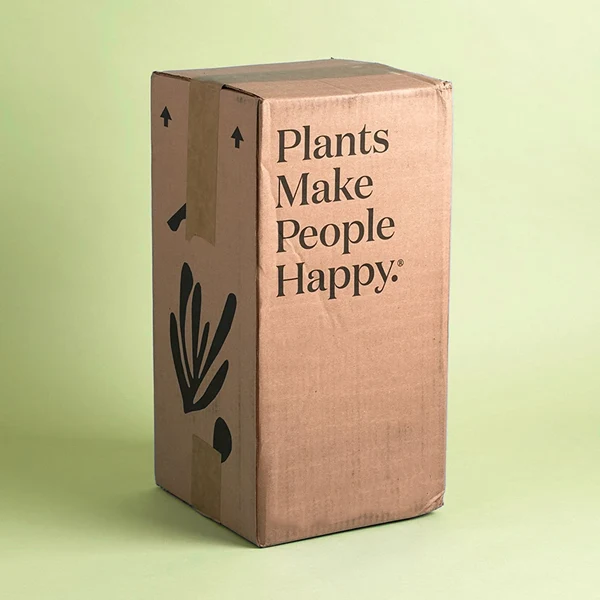 Plant Packaging Boxes Bulk