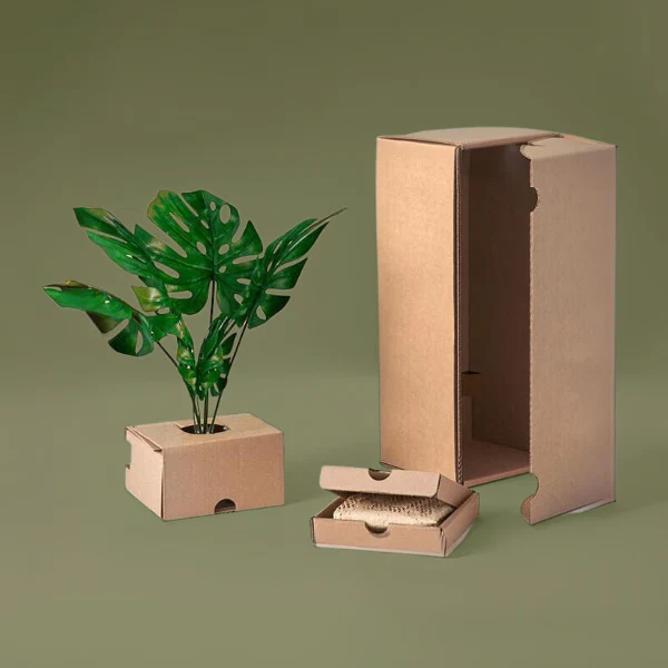 Plant Packaging Boxes Wholesale