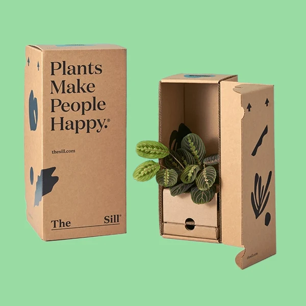 Plant Packaging Boxes