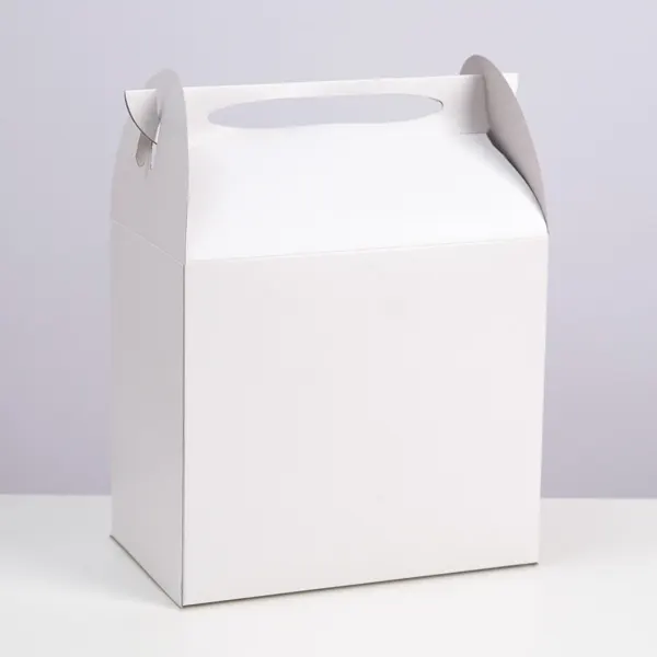 White Gable Packaging Boxes