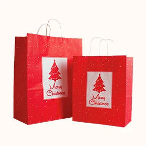 Christmas Paper Bags