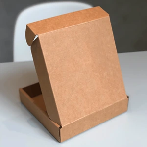 Custom Printed Kraft Paperboard Boxes