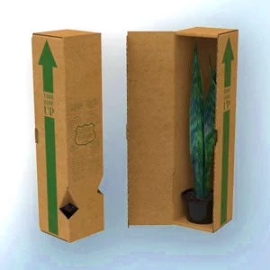 Plant Packaging Boxes