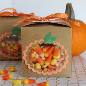 Halloween Boxes with Window