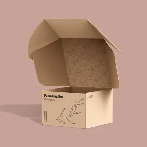 Mailer Packaging Boxes