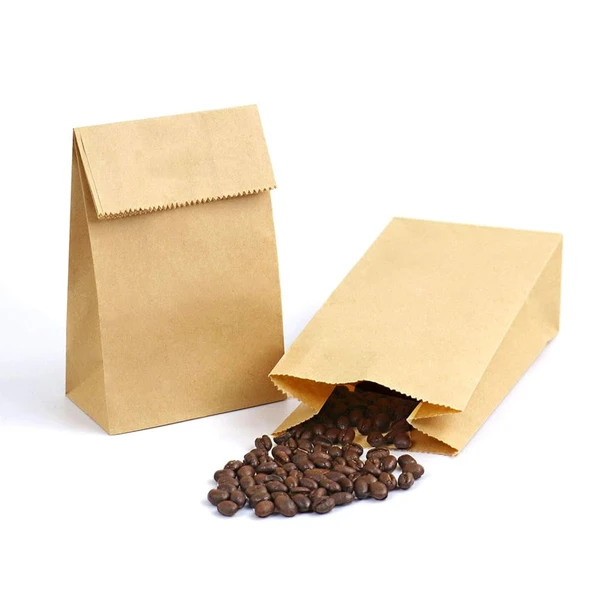 paper-lunch-bags