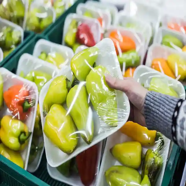vegetable-packaging